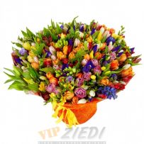 ziedu piegāde: VIP Ziedu Pušķis nr 18: 210.00 €