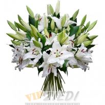 ziedu piegāde: VIP Ziedu Pušķis nr 22: 217.00 €