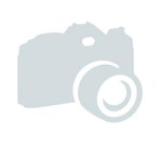 ziedu piegāde: Svētku pušķis nr 31: 200.00 €